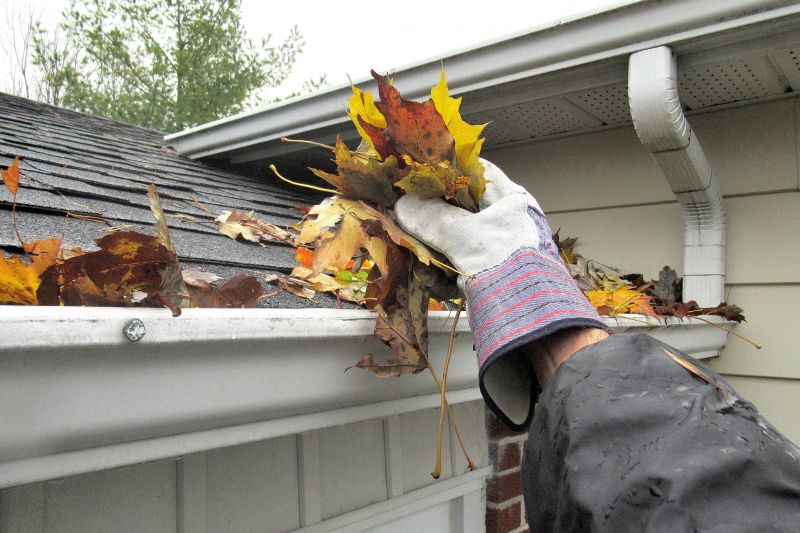Gutter Covers in Action
