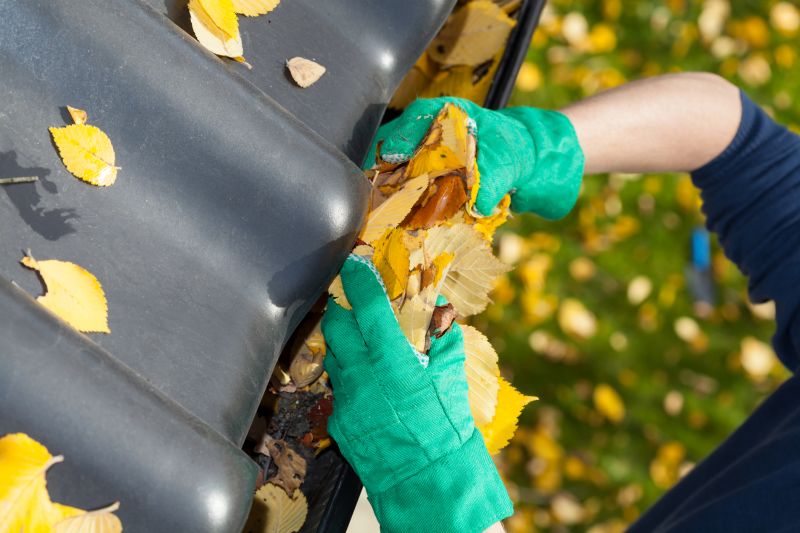 Late Summer Gutter Maintenance